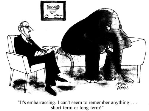 'It's embarrassing. I can't seem to remember anything . . . short-term or long-term!'