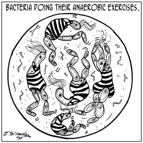 Bacteria doing their anaerobic exercises.