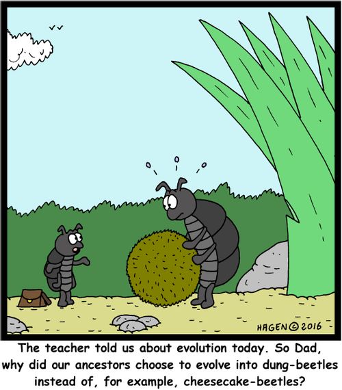 "The teacher told us about evolution today. So Dad, why did our ancestors choose to evolve into dung-beetles instead of, for example, cheesecake-beetles?"