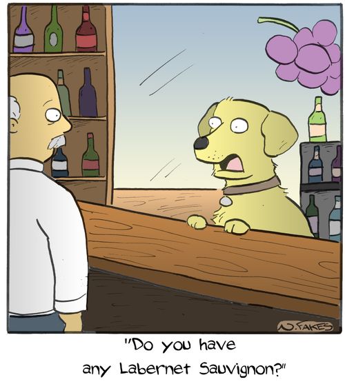 'Do you have any Labernet Sauvignon?'