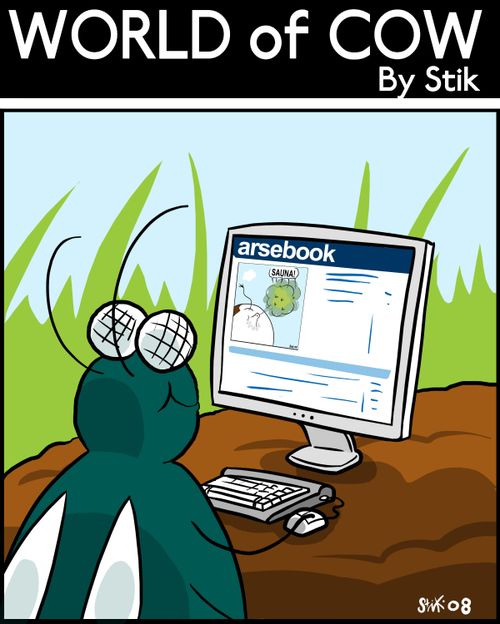 Fly surfing his A**ebook profile.