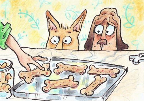 Homemade dog biscuits.