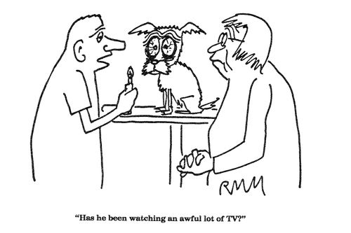 'Has he been watching an awful lot of TV?'