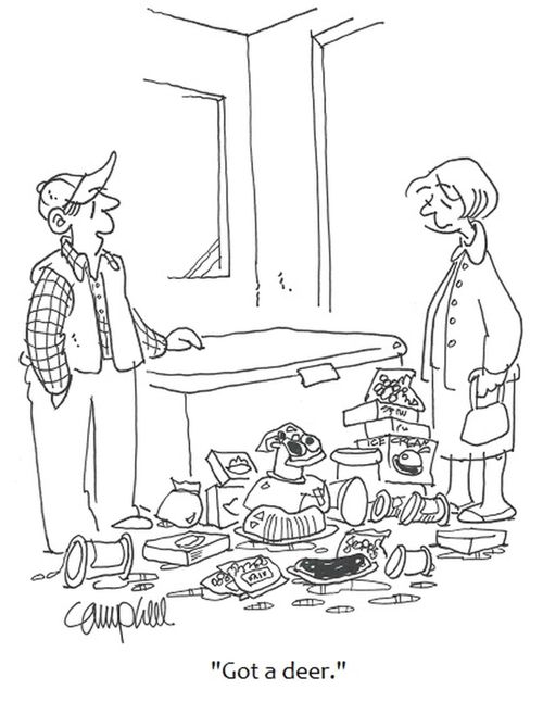 "Got a deer."