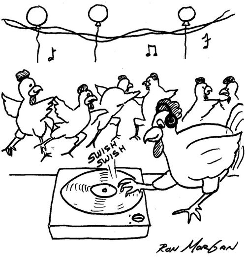 Rooster DJ scratches records during party.