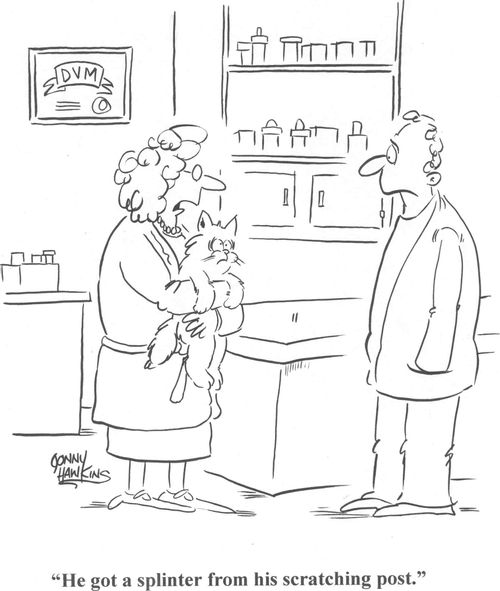 'He got a splinter from his scratching post.'