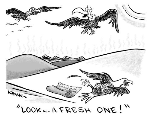 'Look ... A fresh one!'