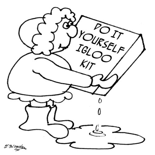 Do It Yourself Igloo Kit.