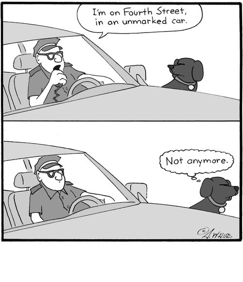 "I'm on Fourth Street, in an unmarked car." "Not anymore."