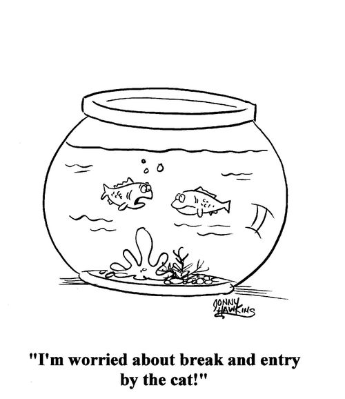 Fish to fish in bowl: 'I'm worried about break and entry by the cat!'