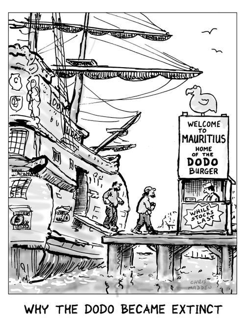 Why the dodo became extinct