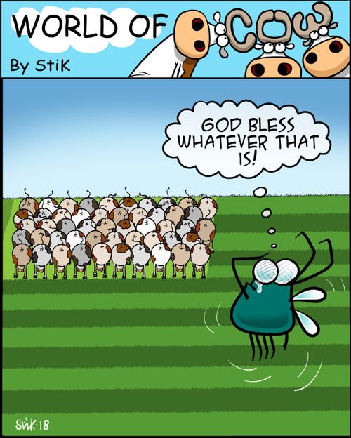 "God bless whatever that is!"