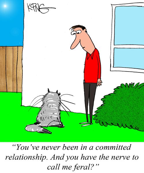 "You've never been in a committed relationship. And you have the nerve to call me feral?"