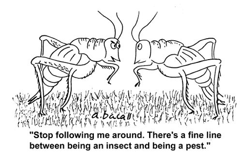 'Stop following me around. There's a fine line between being an insect and being a pest.'