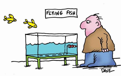 Aquarium tank with flying fish. Fish are flying around room, tank has runway strip inside it.