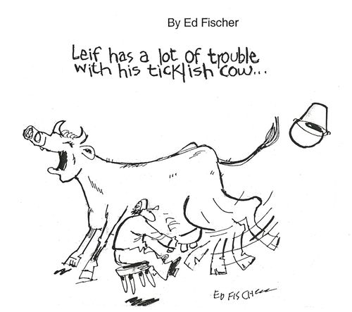 Leif has a lot of trouble with his ticklish cow...