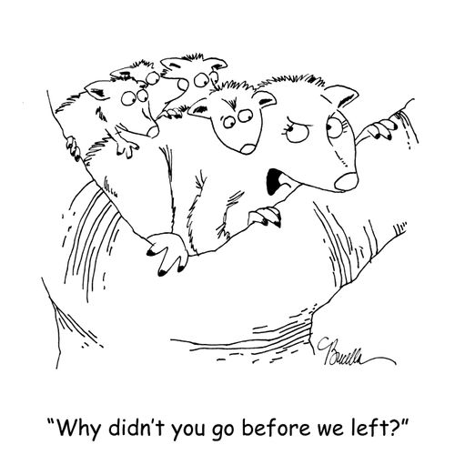 'Why didn't you go before we left?'