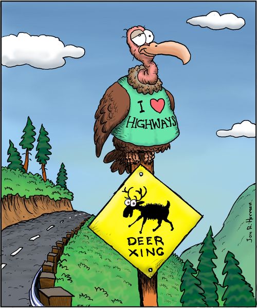 Vulture proclaims its love for highways.
