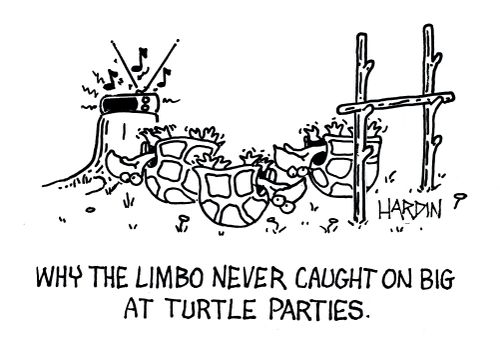 Why the limbo never caught on big at turtle parties.