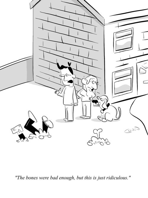 "The bones were bad enough, but this is just ridiculous."