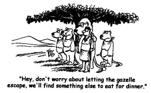 'Hey, don't worry about letting the gazelle escape, we'll find something else to eat for dinner.'