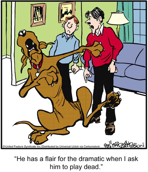 'He has a flair for the dramatic when I ask him to play dead.'