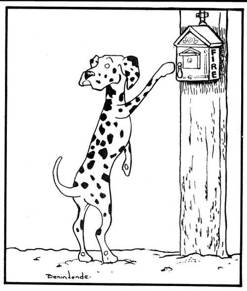 Dog prank