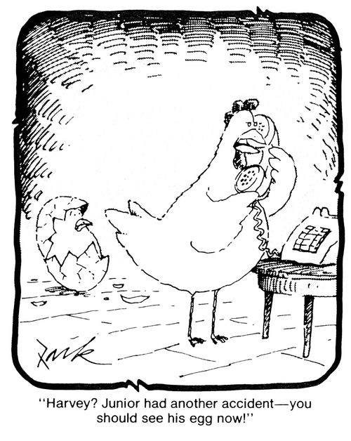 'Harvey? Junior had another accident - you should see his egg now!'