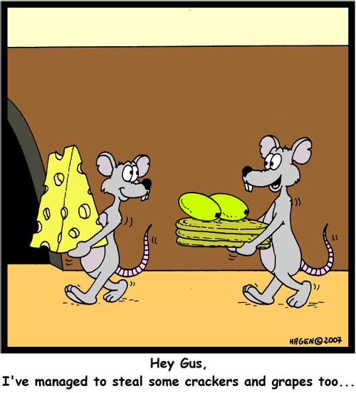 Hey Gus, I've managed to steal some crackers and some grapes too...