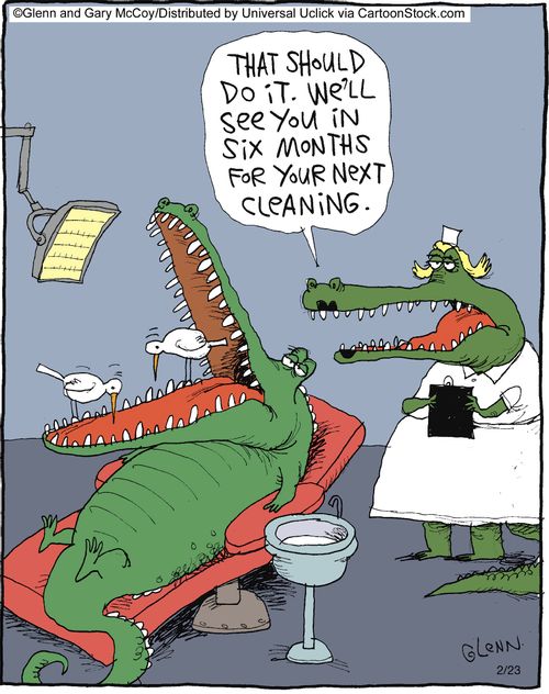 'That should do it. We'll see you in six months for your next cleaning.'