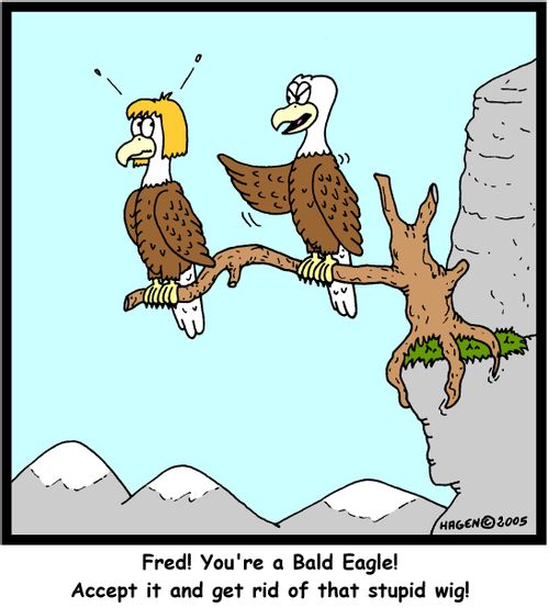 'Fred! You're a Bald Eagle! Accept it and get rid of that stupid wig!'