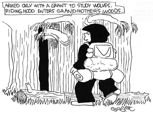Armed only witha grant to study wolves, Ridinghood enters Grandmother's woods.'