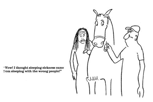 'Wow!  I thought sleeping sickness came from sleeping with the wrong people!'