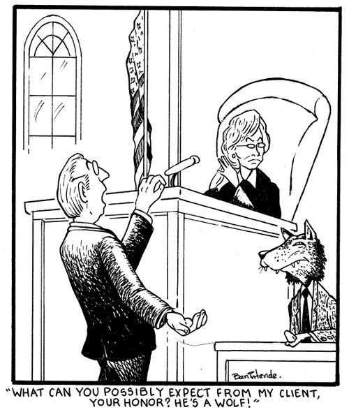 "What can you possibly expect from my client, your honor? He's a wolf!"