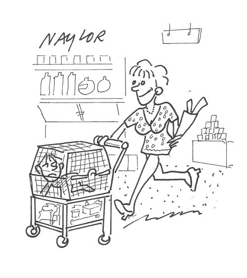 Trolley Cage.