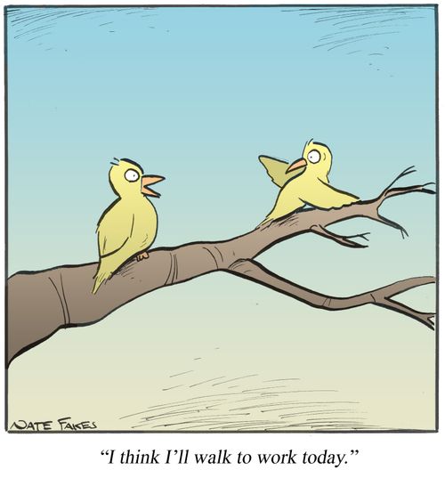'I think I'll walk to work today.'