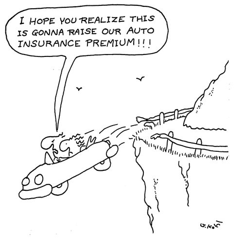 "I hope you realise this is going to raise our auto insurance premium!"