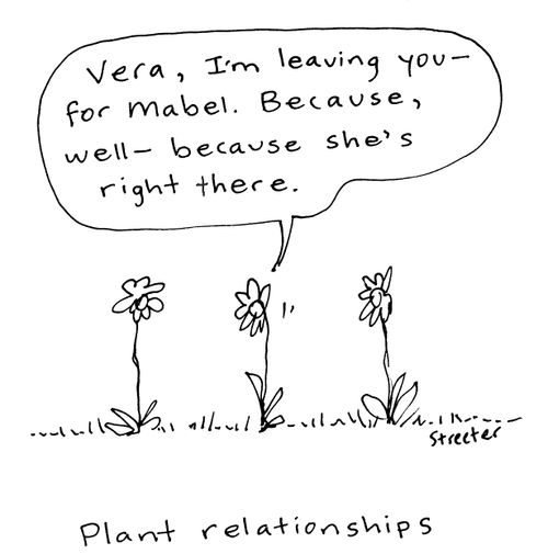 Plant Relationships.