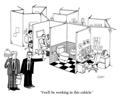 'You'll be working in this cubicle.'