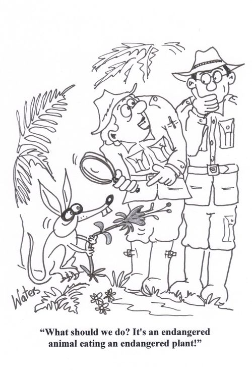 'What should we do? It's an endangered animal eating an endangered plant!'