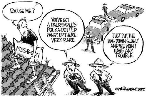The Rare Moss Police Make Another Bust.