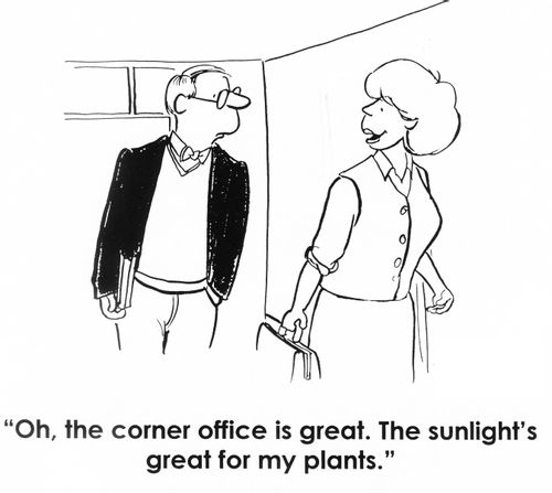 'Oh, the corner office is great. The sunlight's great for my plants.'