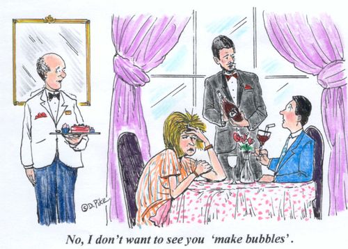 Waiter does not want to see customer make bubbles in his wine.