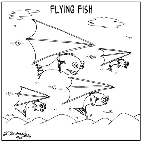 Flying Fish