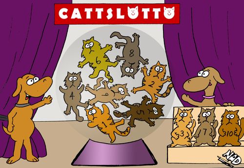 Cattslotto.
