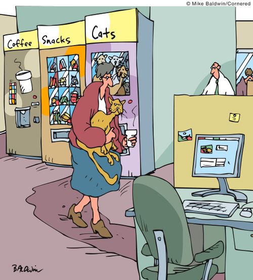 Vending Machines: Coffee. Snacks. Cats.