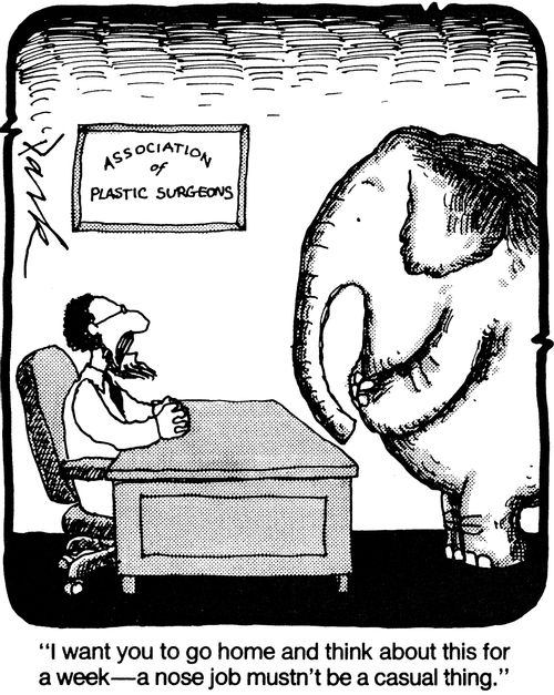 'I want you to go home and think about this for a week - a nose job mustn't be a casual thing.'