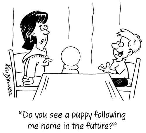 "Do you see a puppy following me home in the future?"