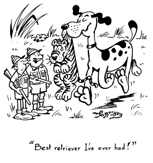 'Best retriever I've ever had!'