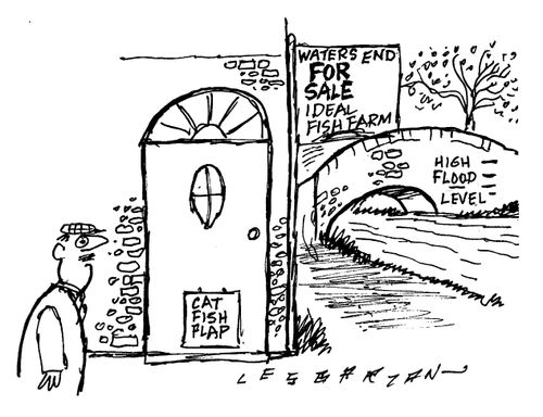 Cat Fish Flap